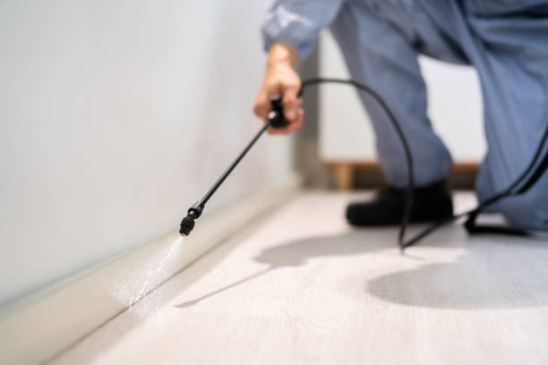 Bed Bug Pre-Treatment Preparation Assessment in Stratmoor