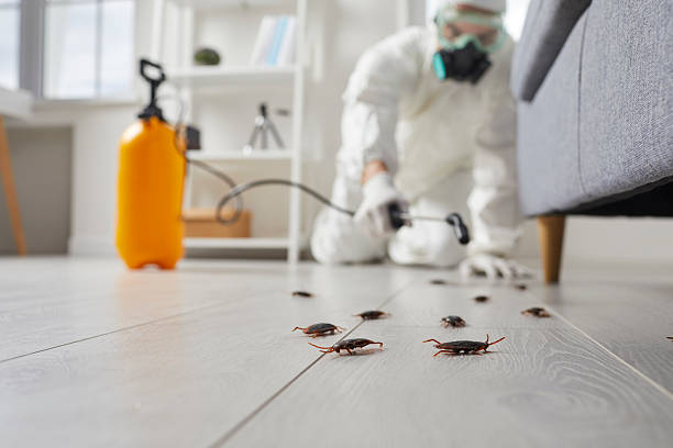 Post-Treatment Bed Bug Interceptor Monitoring in Stratmoor